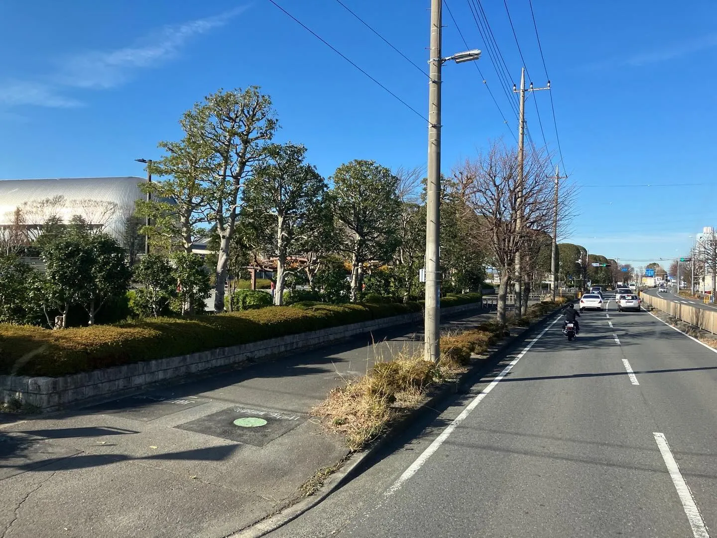 神奈川県藤沢市、にお邪魔しています。