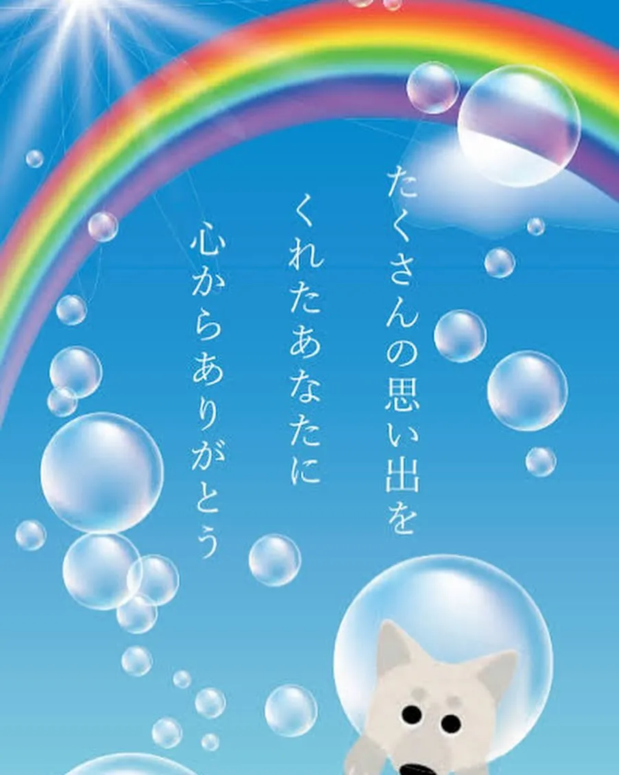 愛するペットとの永遠のお別れは、どんなに心が強くても受け入れ...