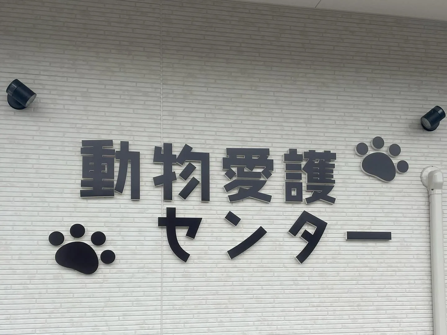 🐾💕愛するペットとの永遠の絆を大切に...私たちのペット霊園...