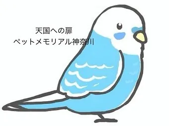 心温まるお別れを、インコちゃんと共に。