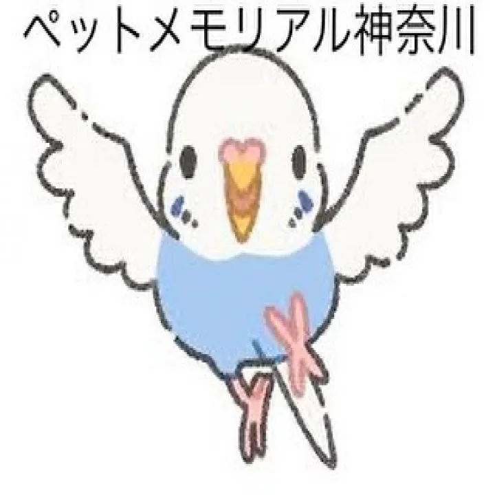 心温まるお別れを、インコちゃんと共に。