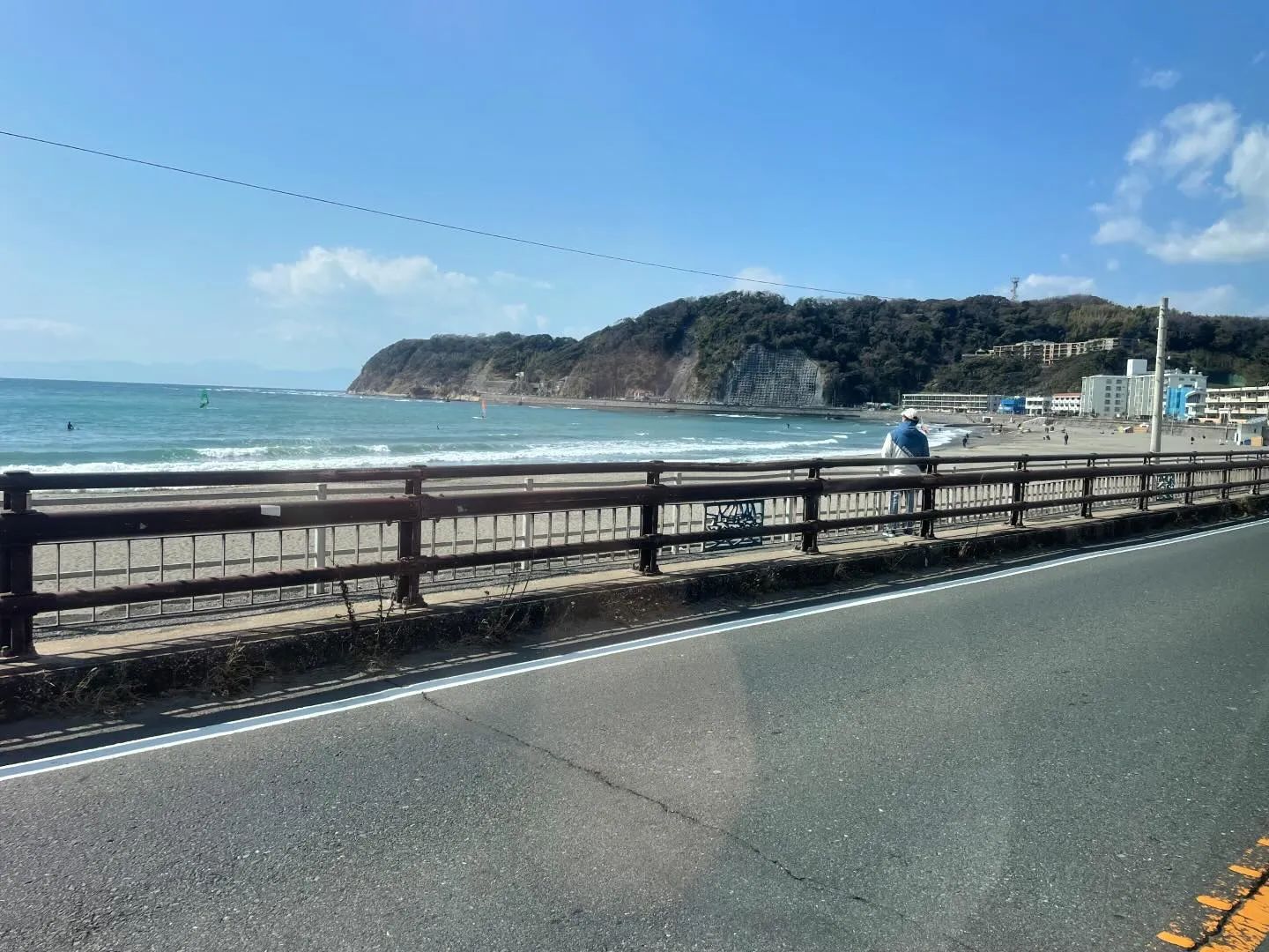 今日も青空が広がる葉山町で、大切な家族の一員であったペットの...