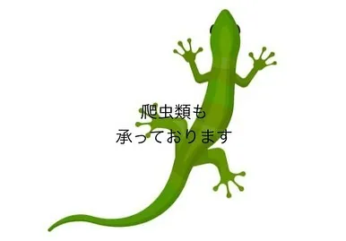 天国への扉はみんな同じ。