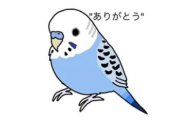 横浜市で愛されたインコちゃん、あなたの羽ばたきは今は静かに。