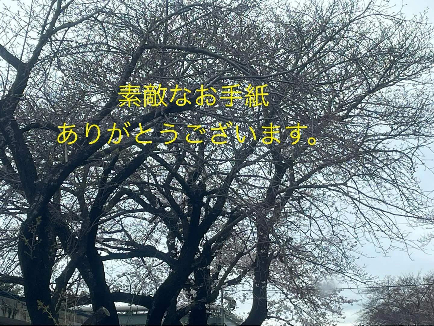 以前ご依頼頂きましたご家族様から、心温まるお手紙が届きました...