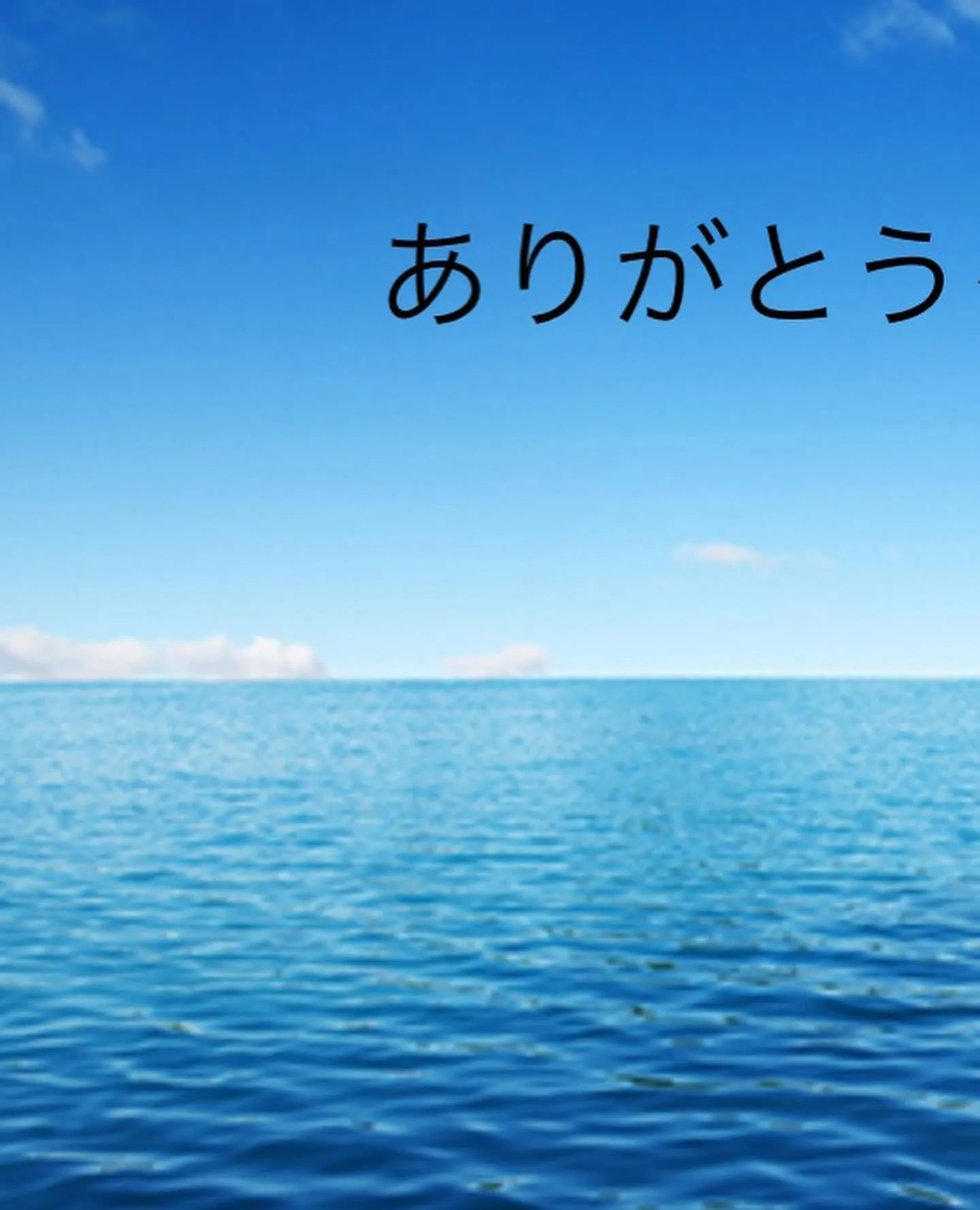 今日の青空の下、ペット霊園で心温まるお別れのお手伝いをさせて...