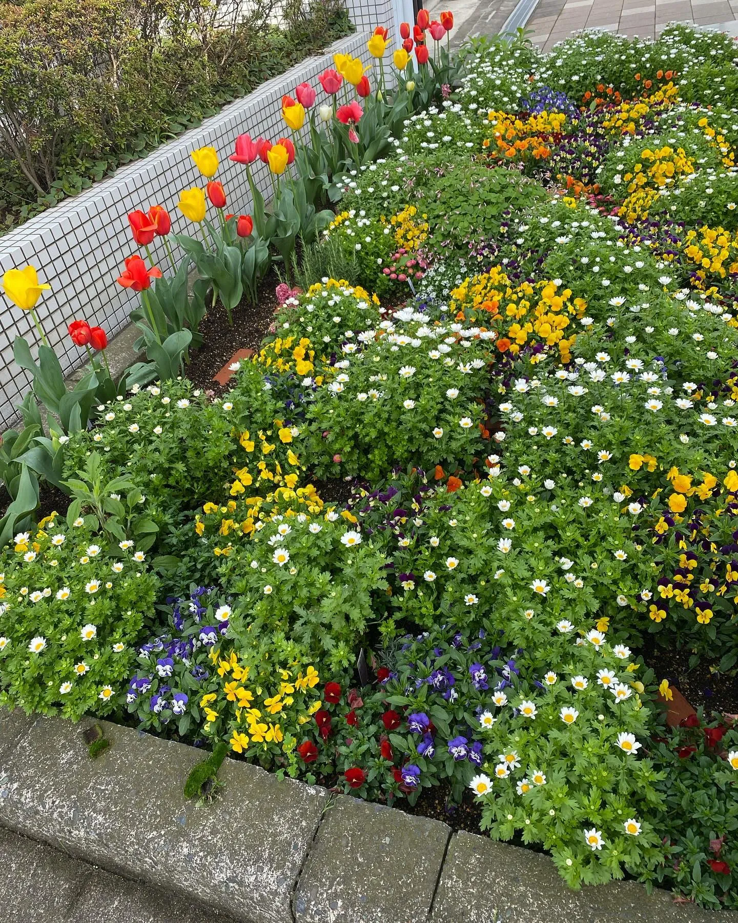 雨空の朝も、虹の橋への旅立ちは穏やかな気持ちで。