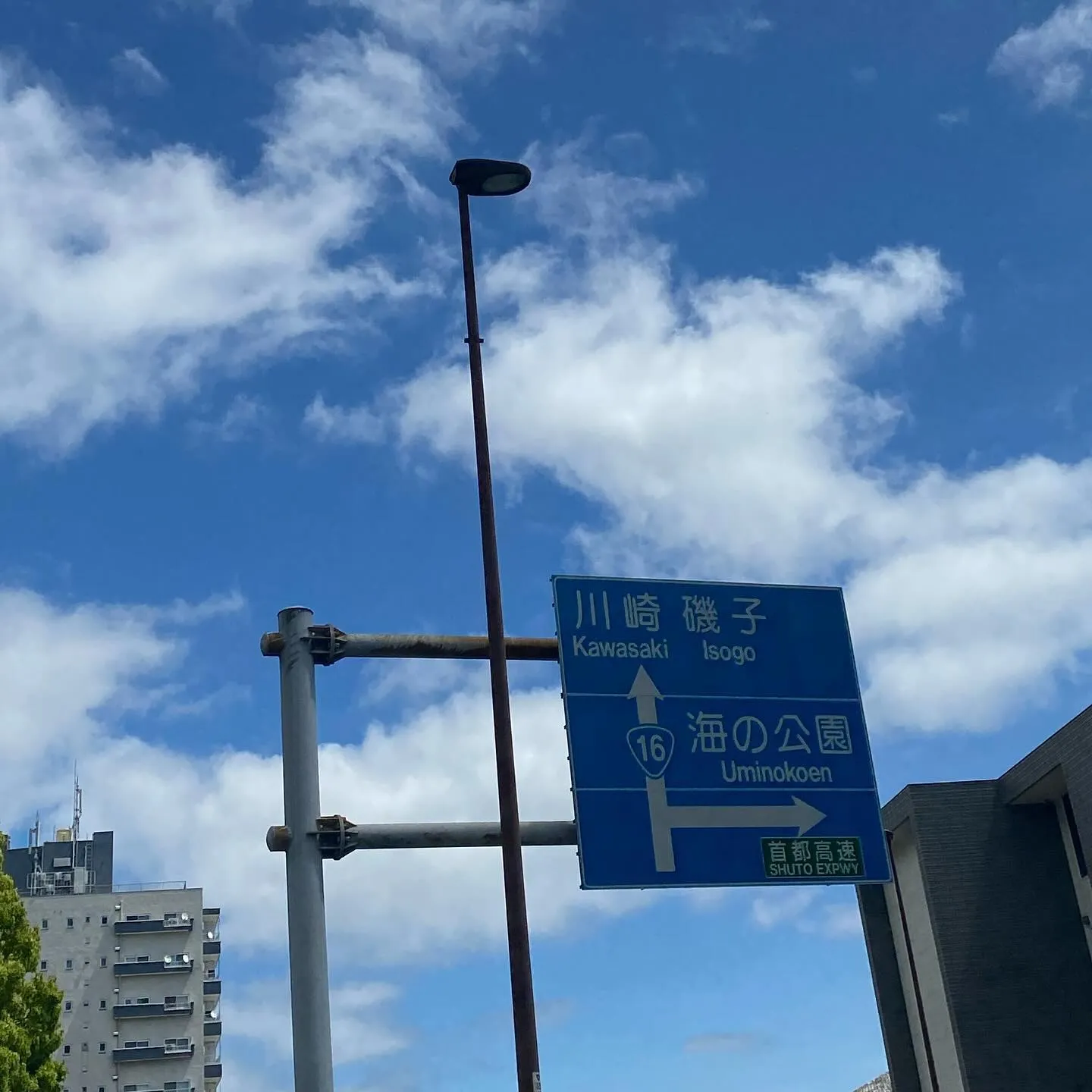 5日ぶりの晴れ日となった横須賀市。