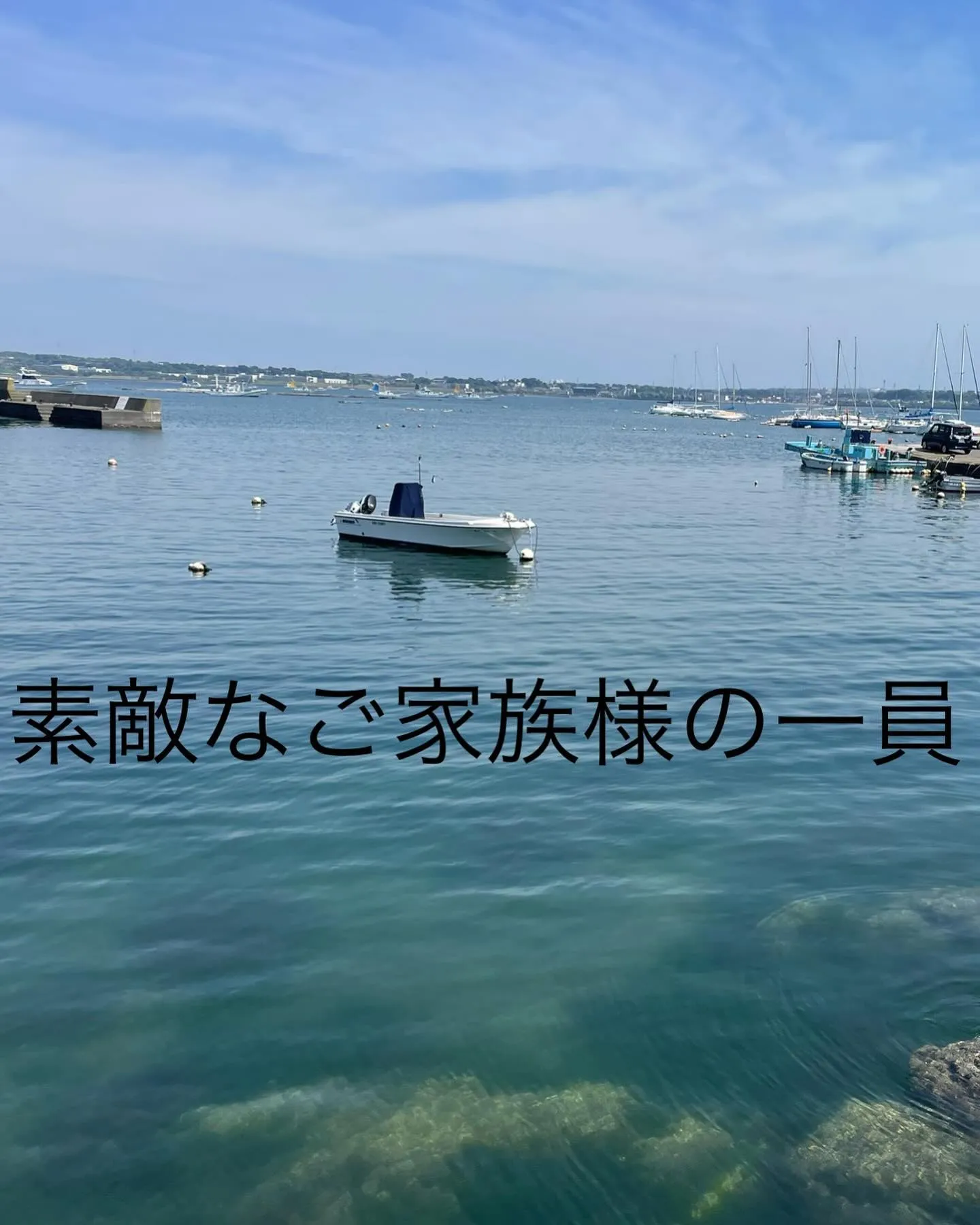 横須賀市にお住まいの心温まるご家族の元を離れ、虹の橋へと旅立...