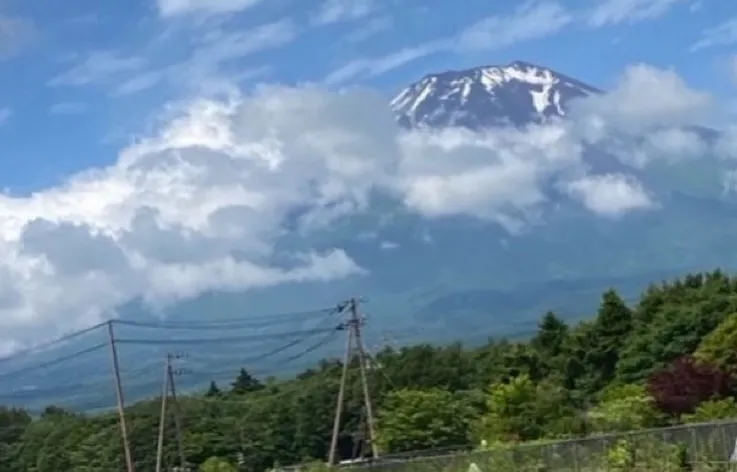 ペットは我が家の愛しい家族の一員です。