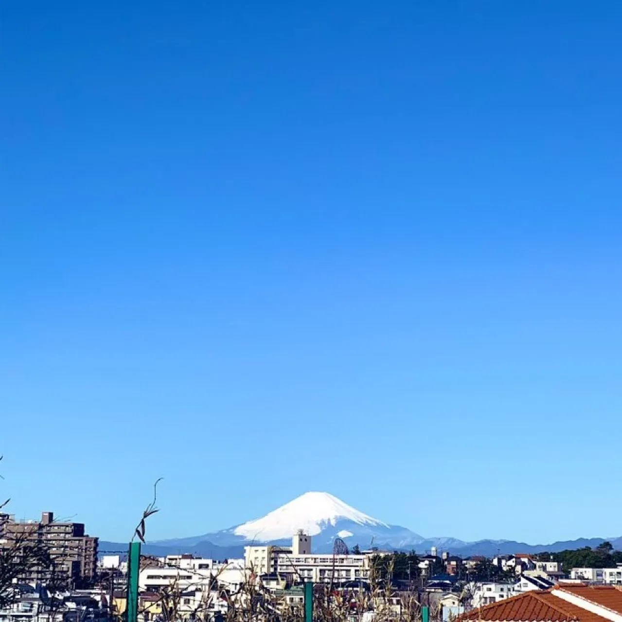 ペットという存在は、家族同様に私たちの生活に深く結びついてい...