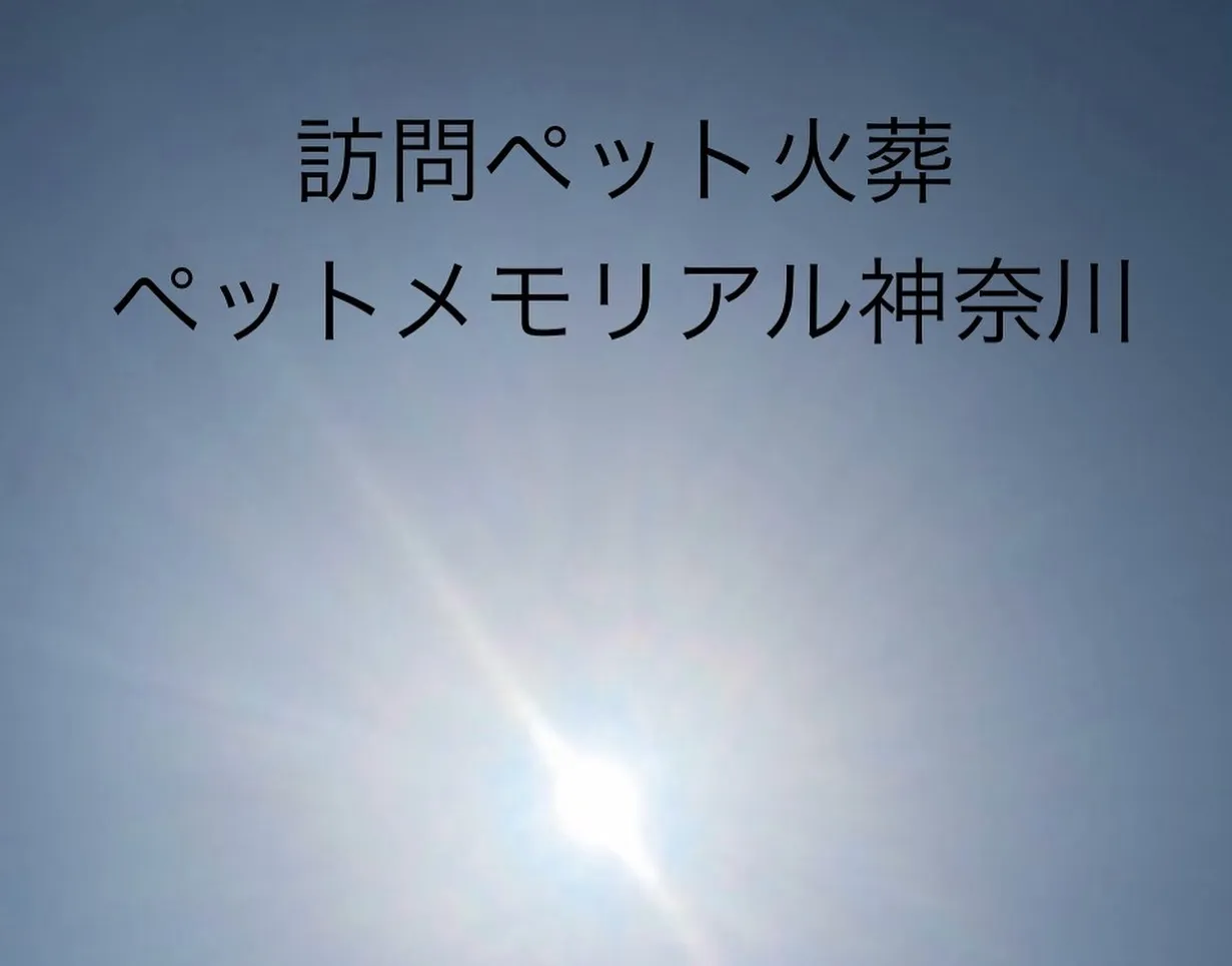 今日は、息をのむほど美しい青空が広がり、それに映える透明な海...