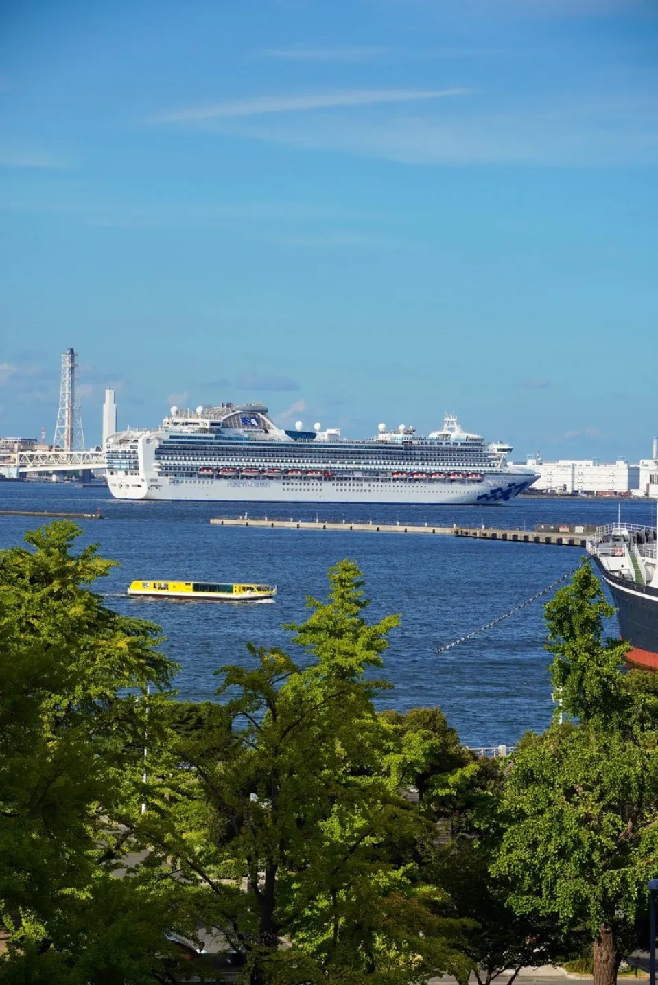 横須賀市、三浦市、逗子市、葉山町、横浜市等でのペット火葬予約のステップバイステップガイド