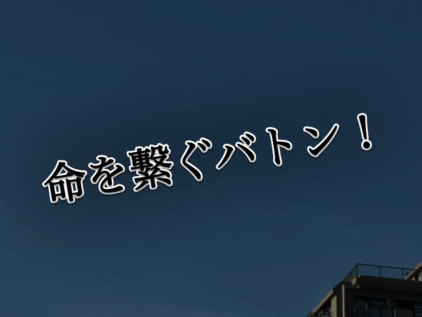 青空が広がる清々しい日、私たちは横浜市の方から横須賀市の方へ...