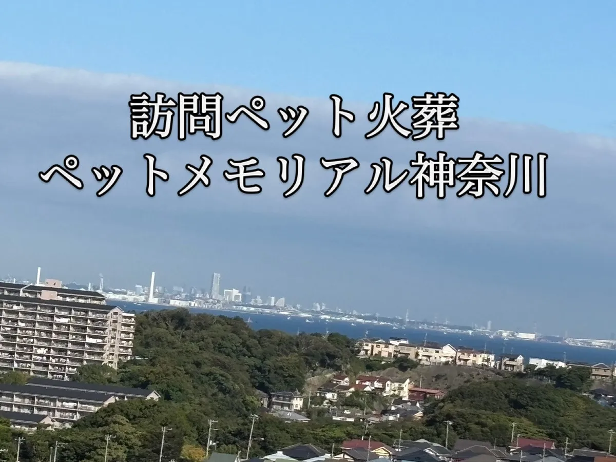 本日は横須賀市久里浜にお伺いしております。