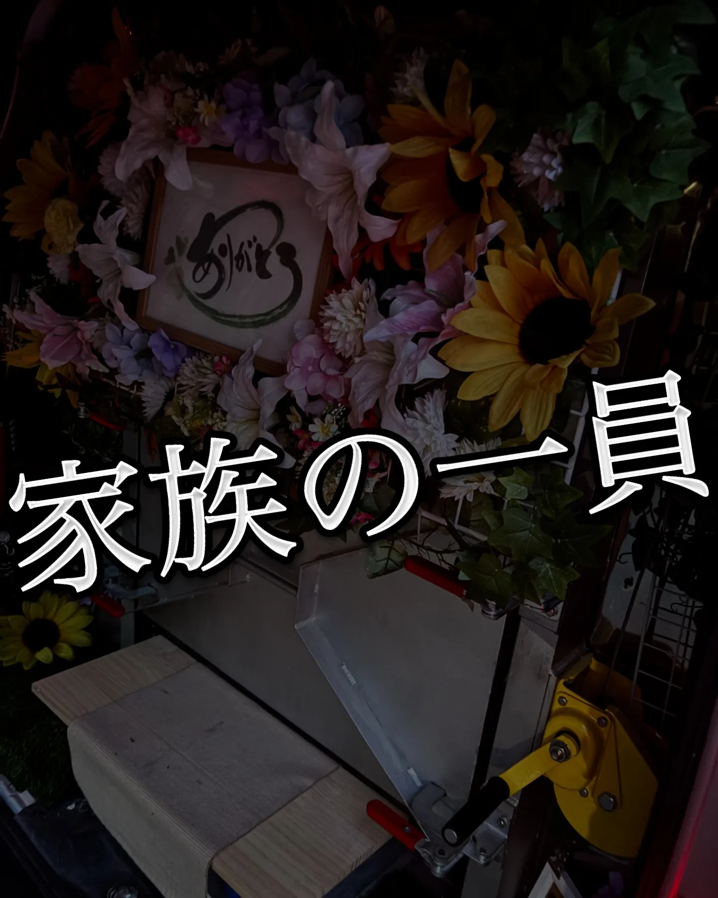 神奈川県葉山町に住んでいたマメルリハの「ぶどうちゃん」が旅立...