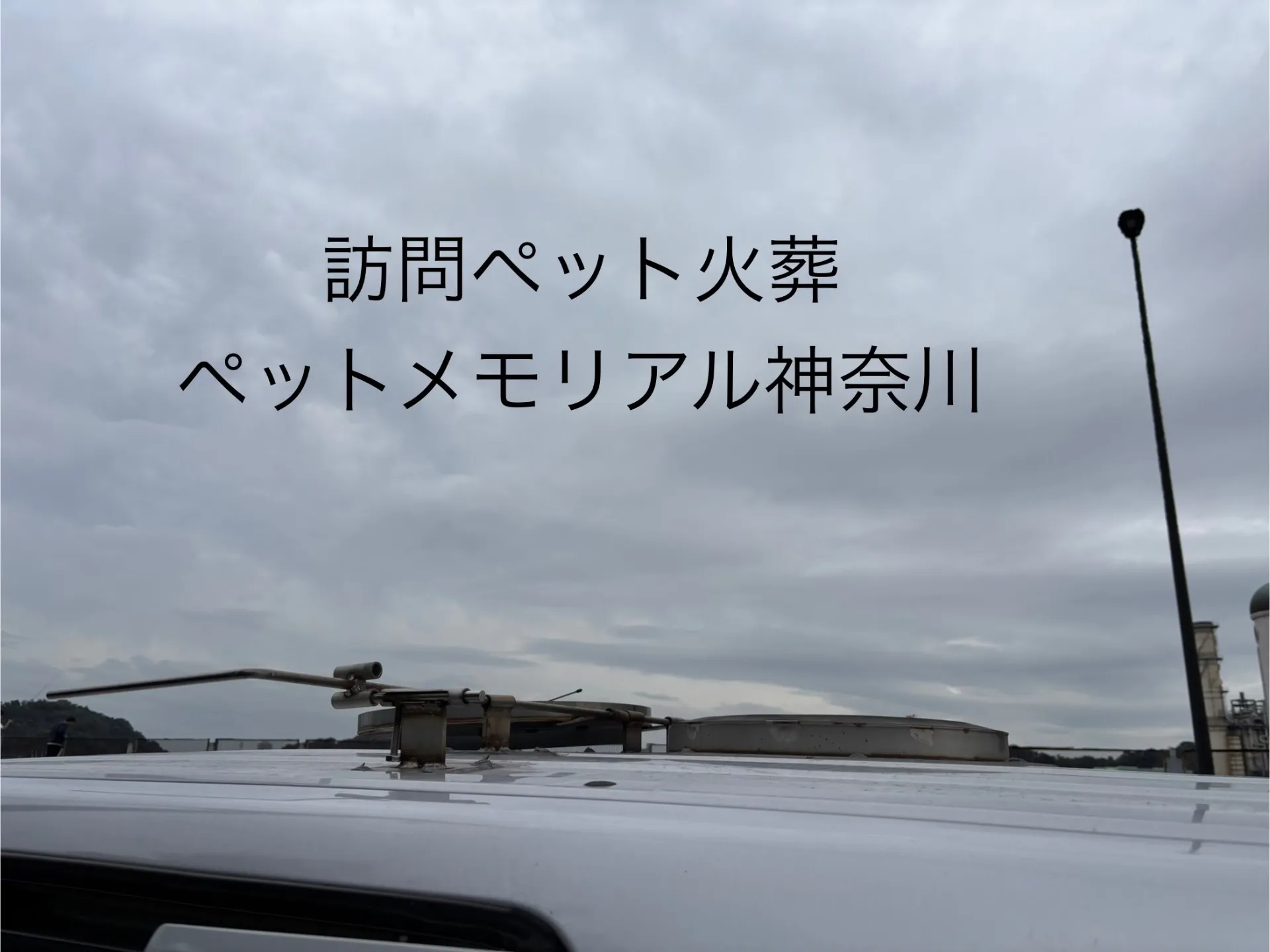 神奈川県横須賀市での心温まるペット火葬：大切な一日をどう過ごすか