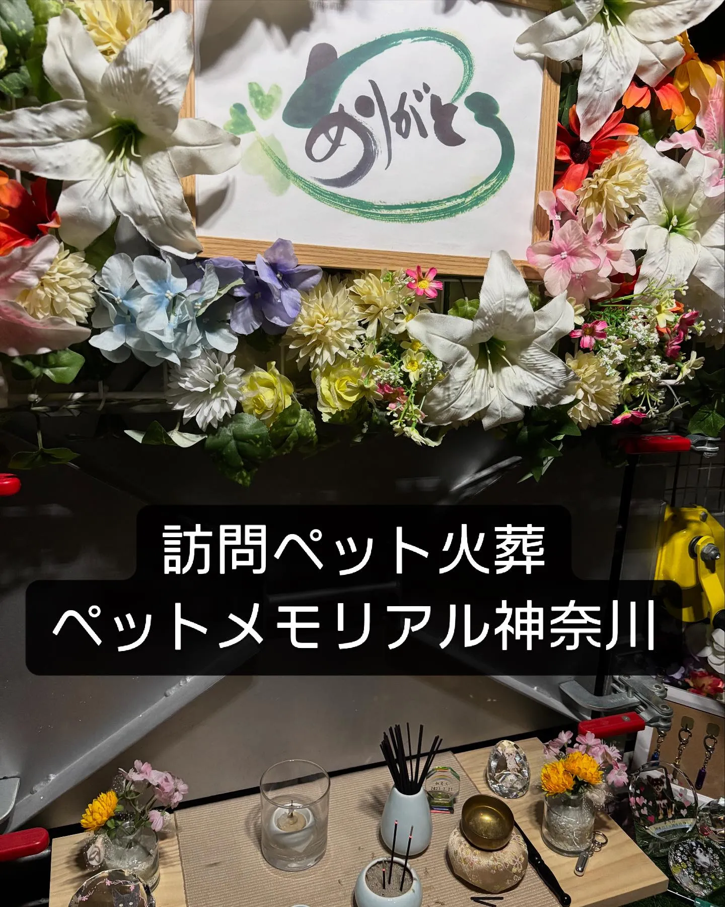 横須賀市より、もくくんの最後のお見送りをお手伝いさせていただ...