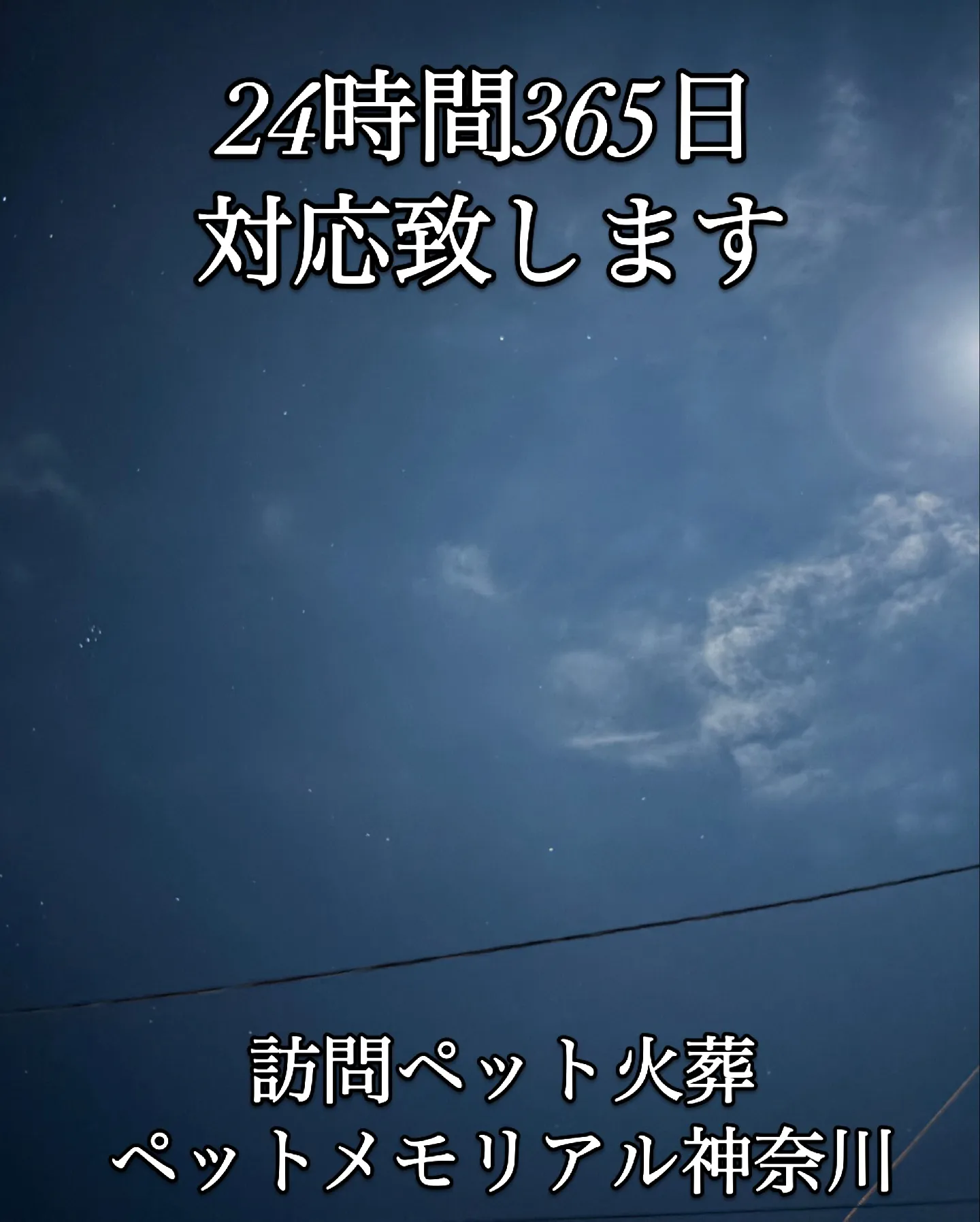 三浦市にて、ハムスターのタロちゃんのお見送りをさせていただき...