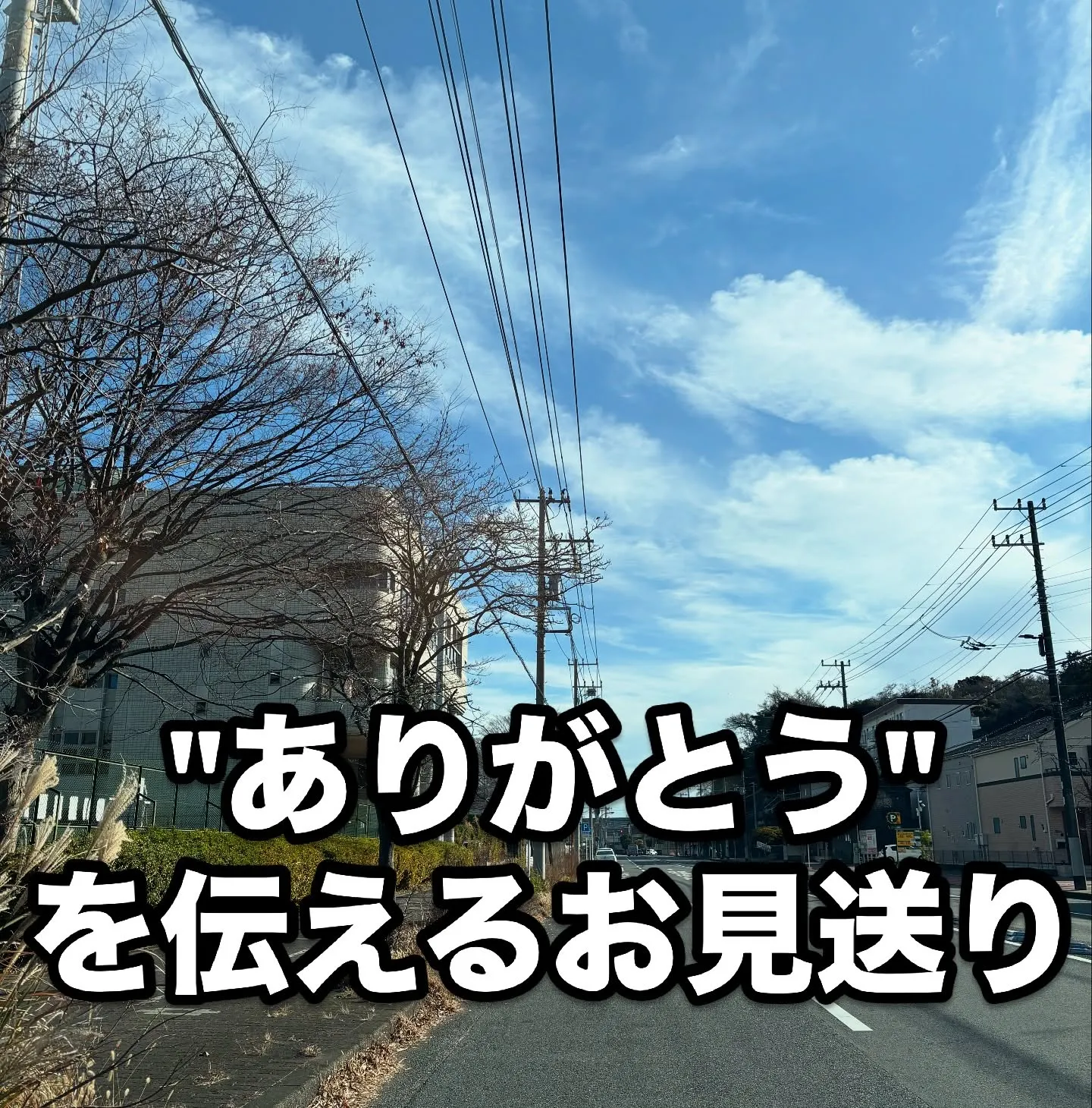 横須賀市にてワンちゃんのご火葬のお手伝いをさせていただきまし...