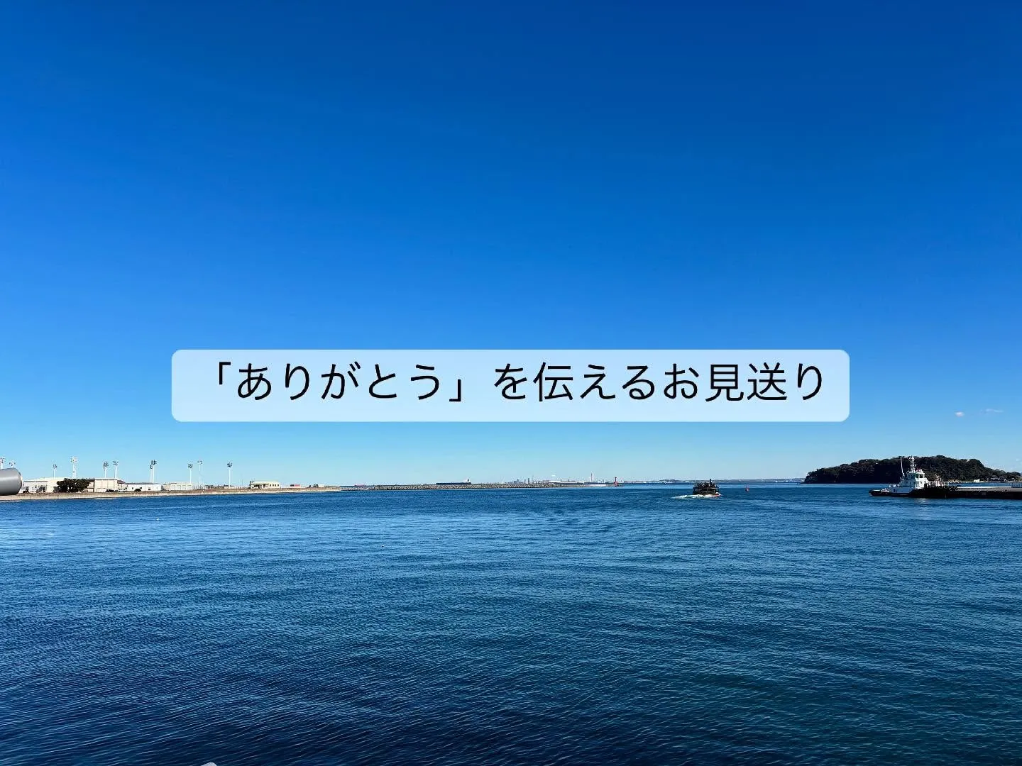 横須賀市より、愛するわんちゃんのお見送りのお手伝いをさせてい...