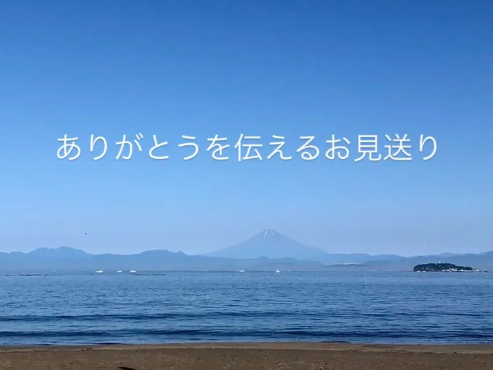 ペットはかけがえのない家族の一員ですが、私たちよりも短い一生...