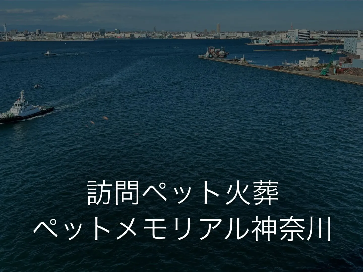 大切な家族であるペットが最期の時を迎える時、そのプロセスを心...