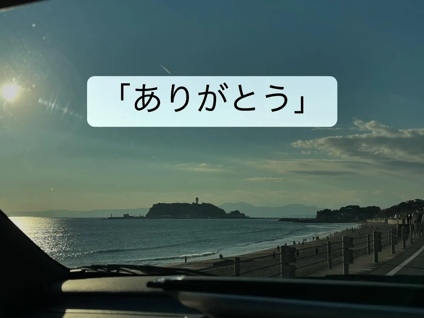 藤沢市にて、長年愛されていた猫ちゃんのお見送りのお手伝いをさ...