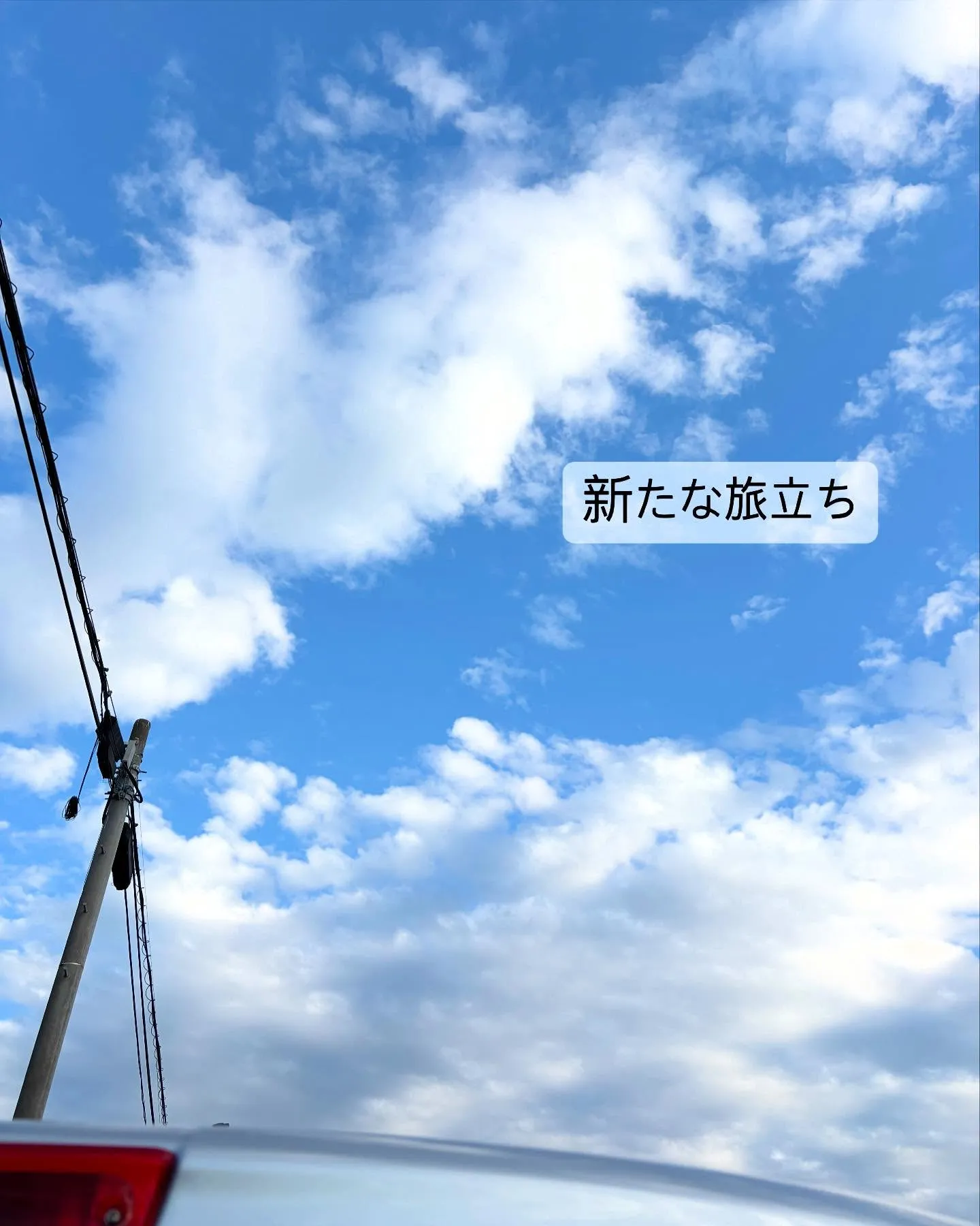 横浜市で一匹のわんちゃんのお見送りをお手伝いさせて頂きました...