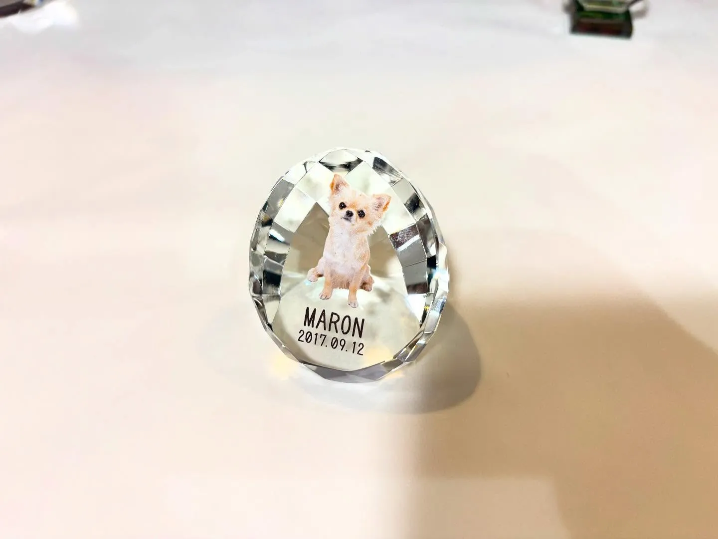 神奈川県横須賀市に位置する「ペットメモリアル神奈川」は、愛す...