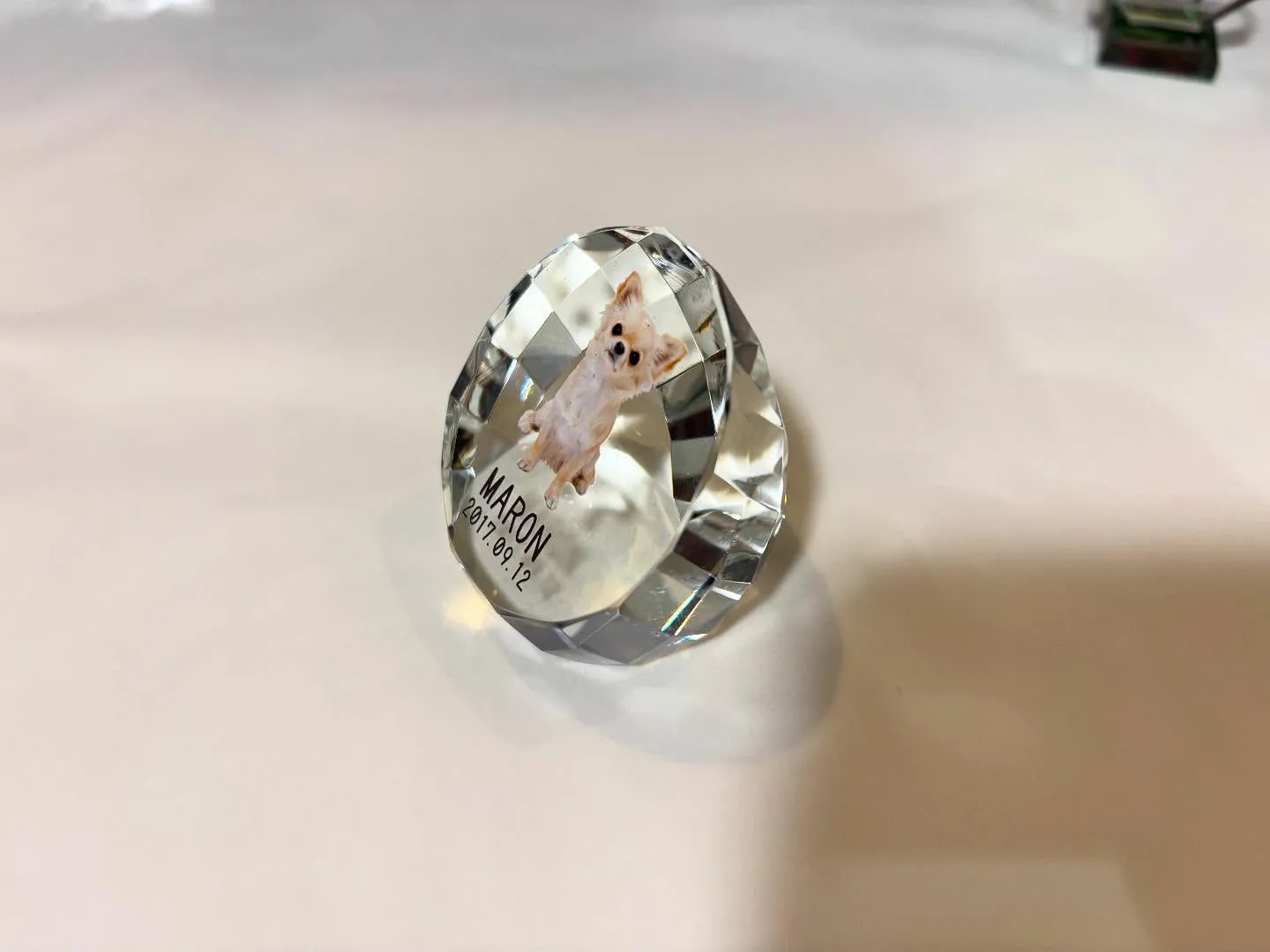 神奈川県横須賀市に位置する「ペットメモリアル神奈川」は、愛す...