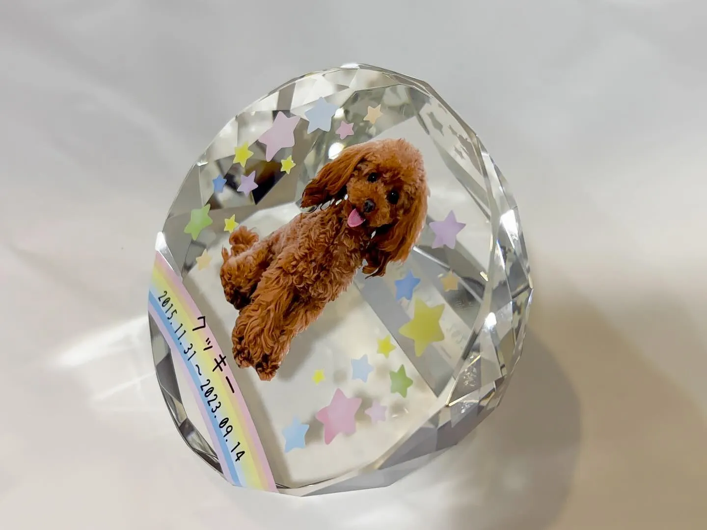 神奈川県横須賀市に位置する「ペットメモリアル神奈川」は、愛す...