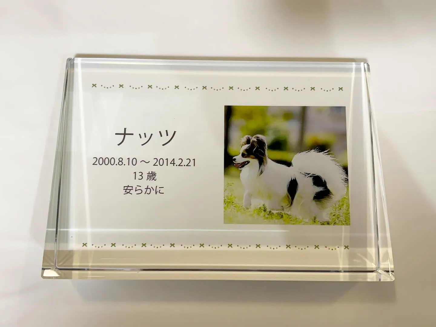 神奈川県横須賀市に位置する「ペットメモリアル神奈川」は、愛す...