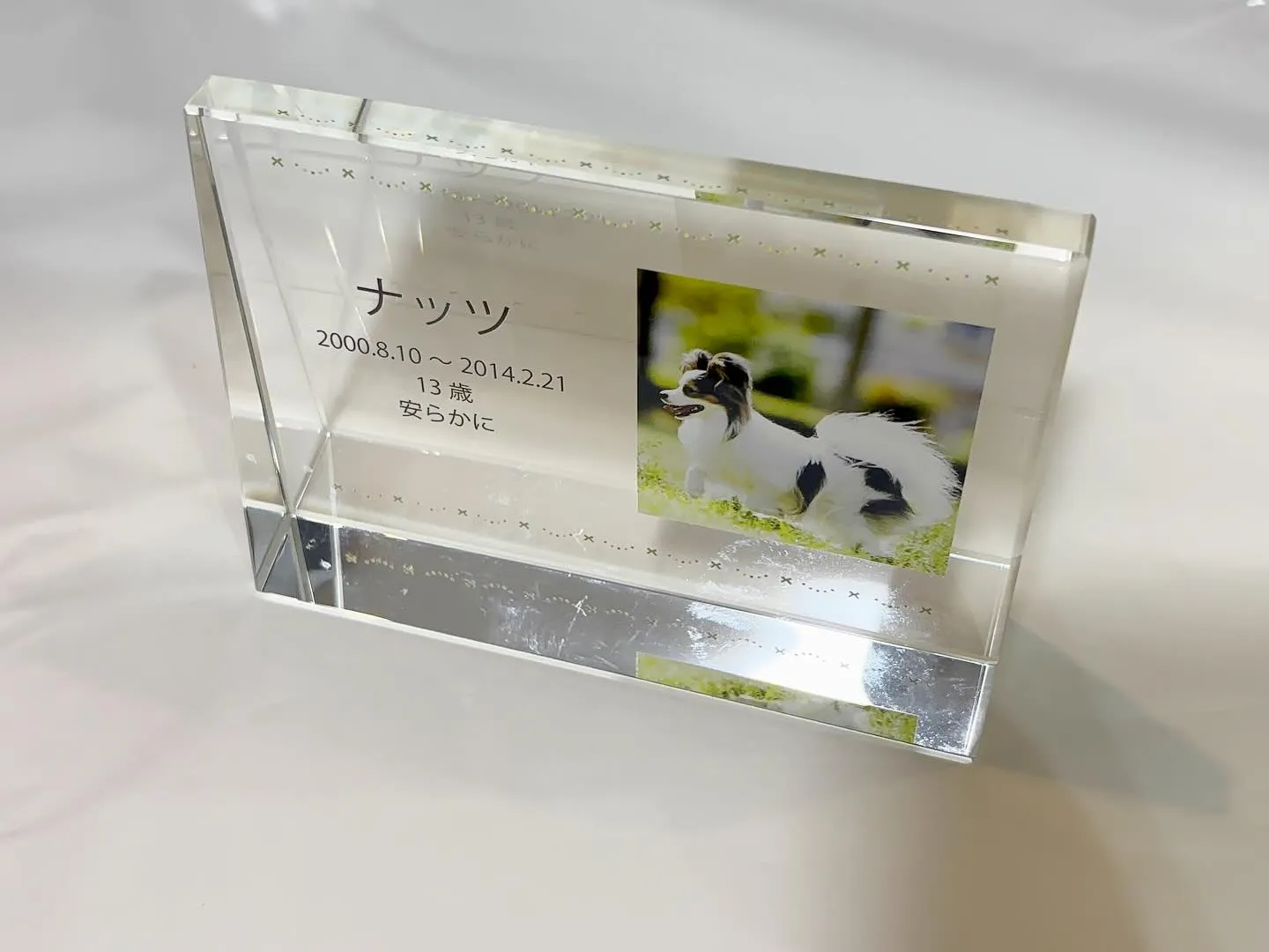 神奈川県横須賀市に位置する「ペットメモリアル神奈川」は、愛す...