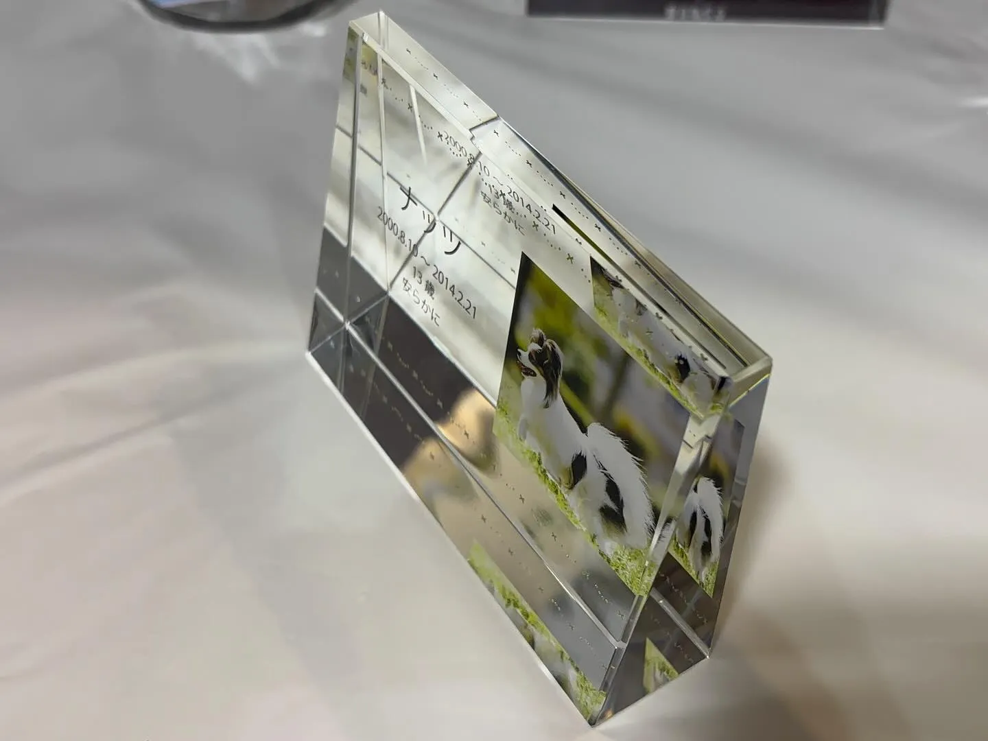 神奈川県横須賀市に位置する「ペットメモリアル神奈川」は、愛す...