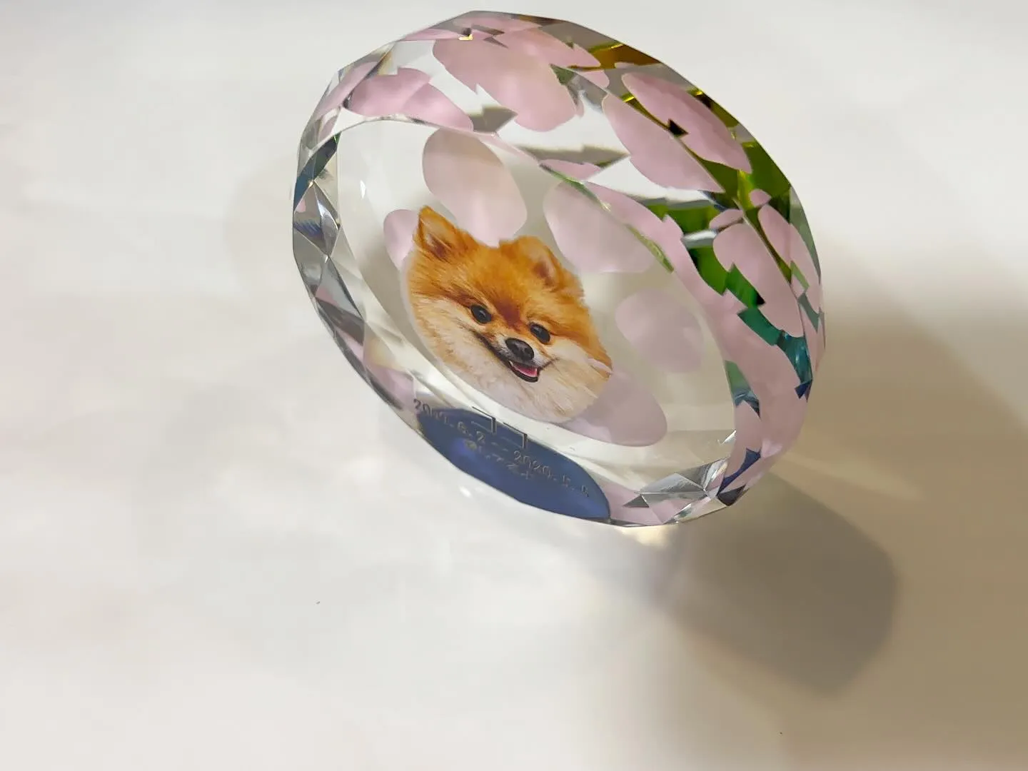 神奈川県横須賀市に位置する「ペットメモリアル神奈川」は、愛す...