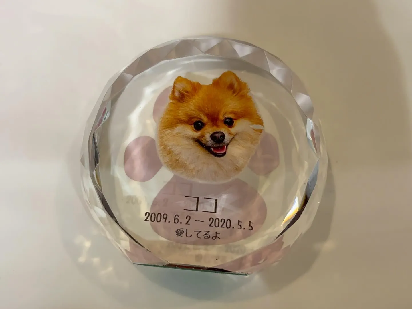 神奈川県横須賀市に位置する「ペットメモリアル神奈川」は、愛す...