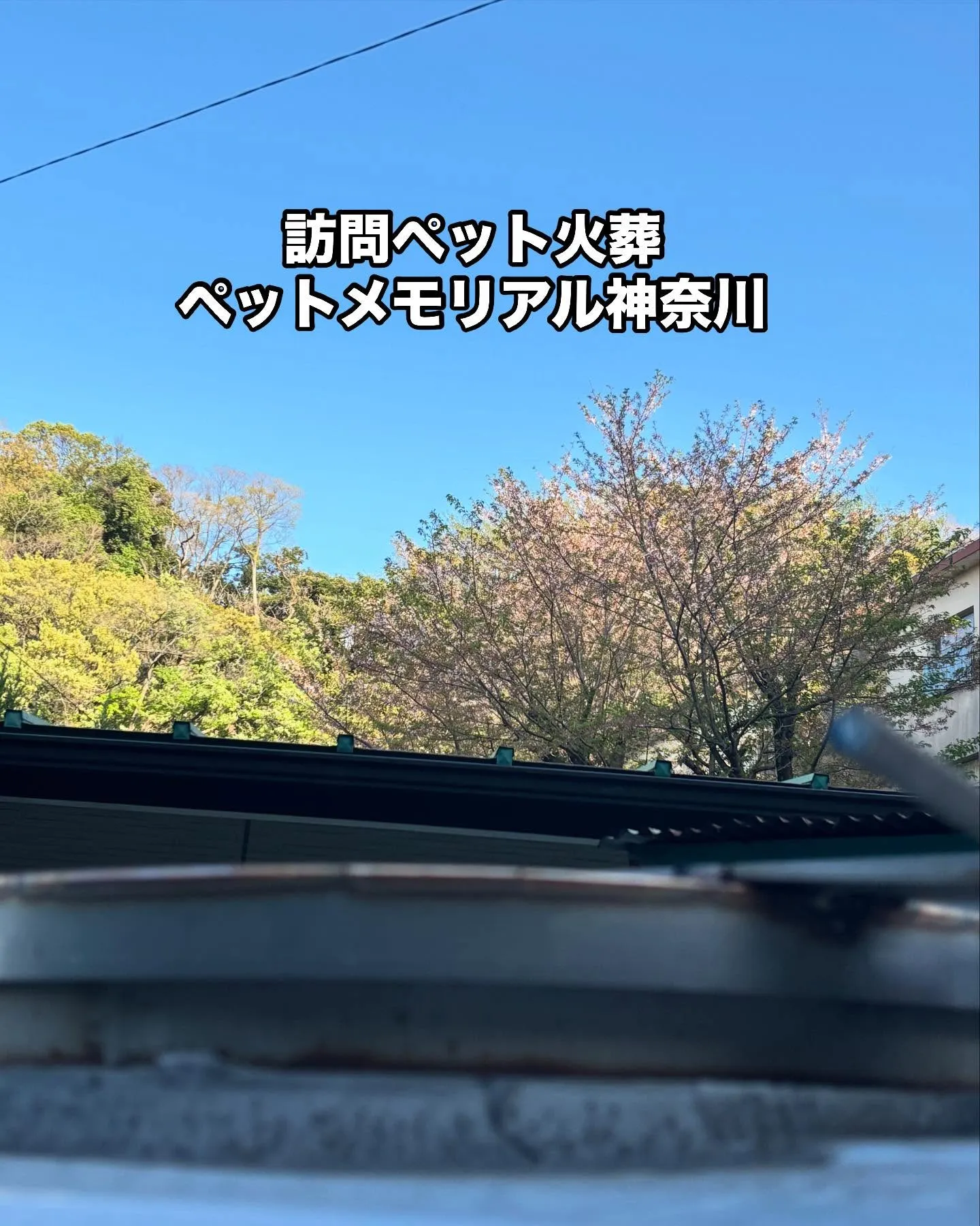 神奈川県三浦市のペット愛好家のご家族様が弊社にお越しください...