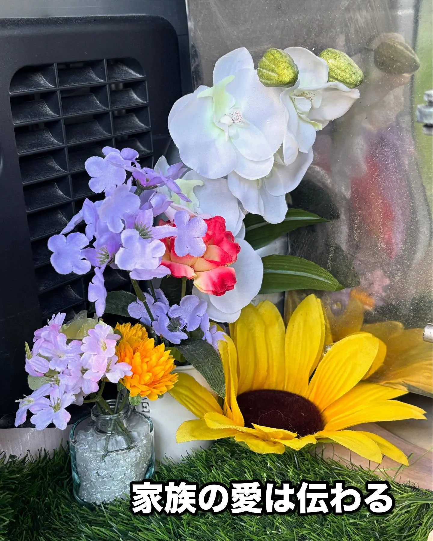 神奈川県三浦市のペット愛好家のご家族様が弊社にお越しください...