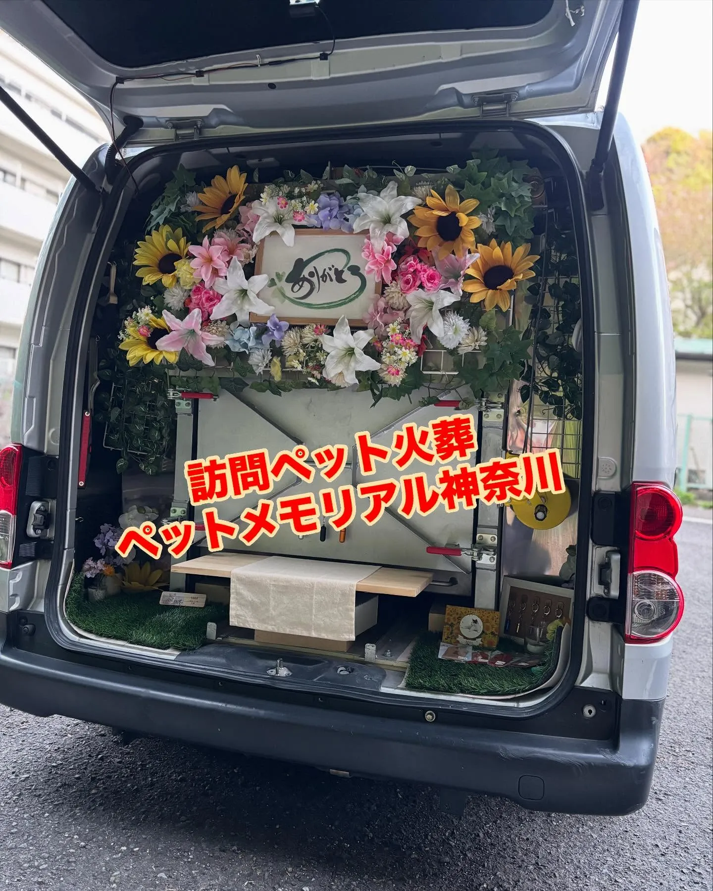 先日、神奈川県三浦市で地域猫として愛されていた保護猫ちゃんの...