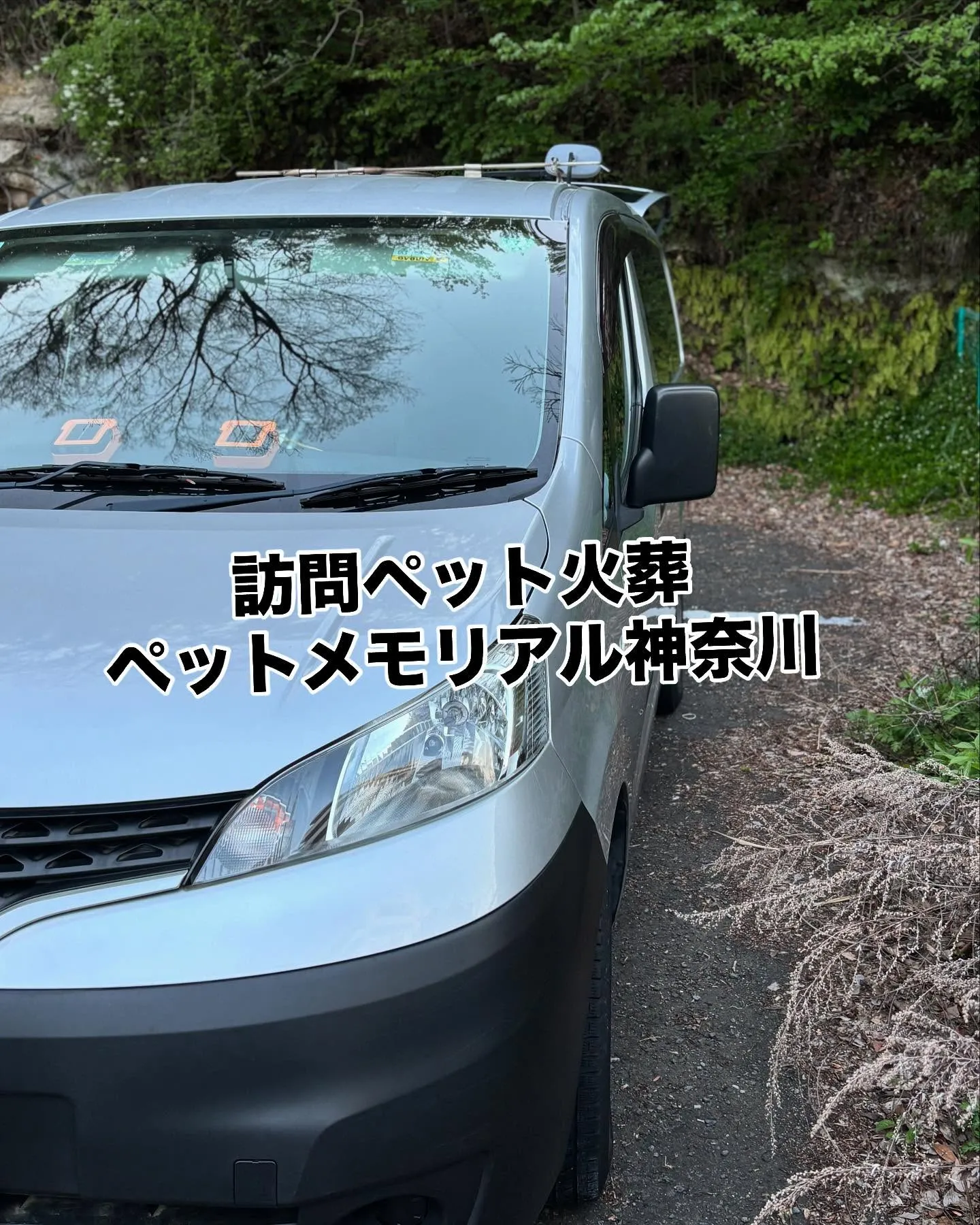 横浜市金沢区にお住まいのトイプードル、リンちゃんのお見送りの...