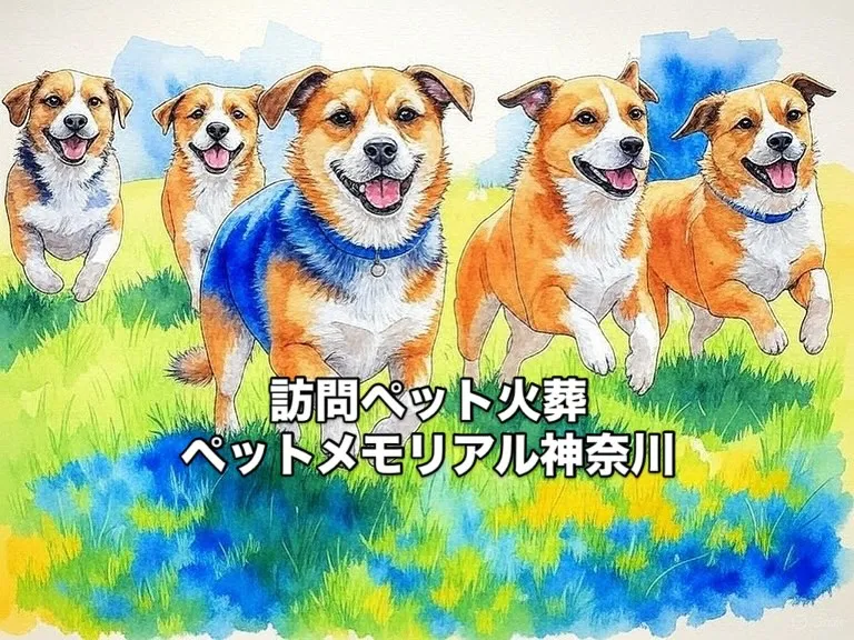 「虹の橋」は、ペットを亡くした人々の心に寄り添う温かな伝説で...