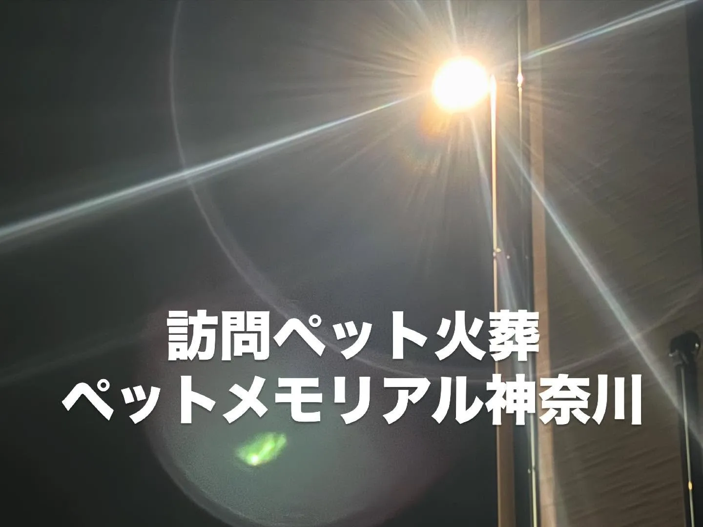 おはようございます。