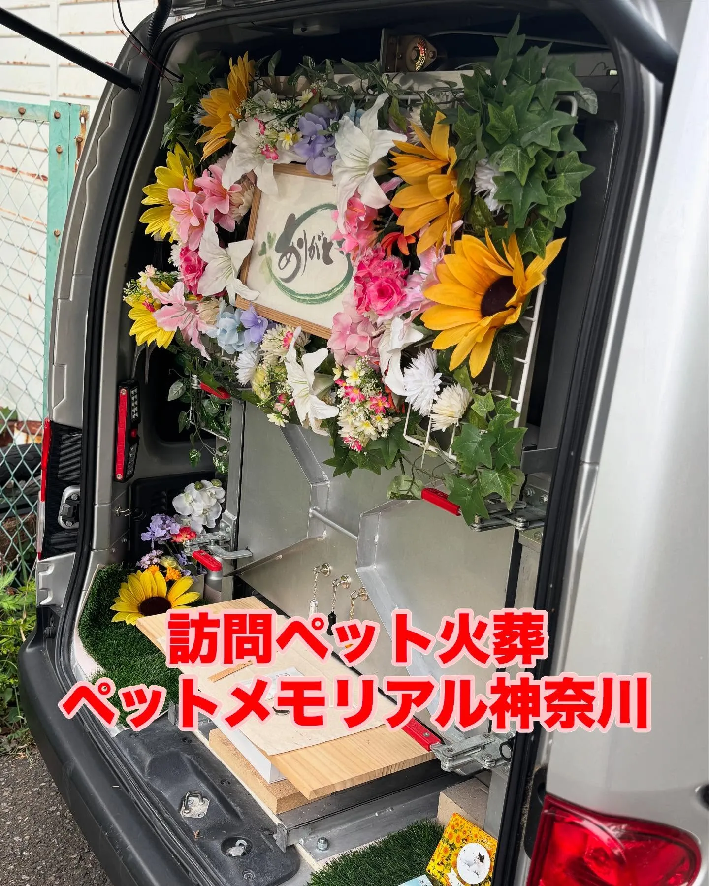 神奈川県葉山町にお住まいのご家族様の愛するモルモット、ルビー...