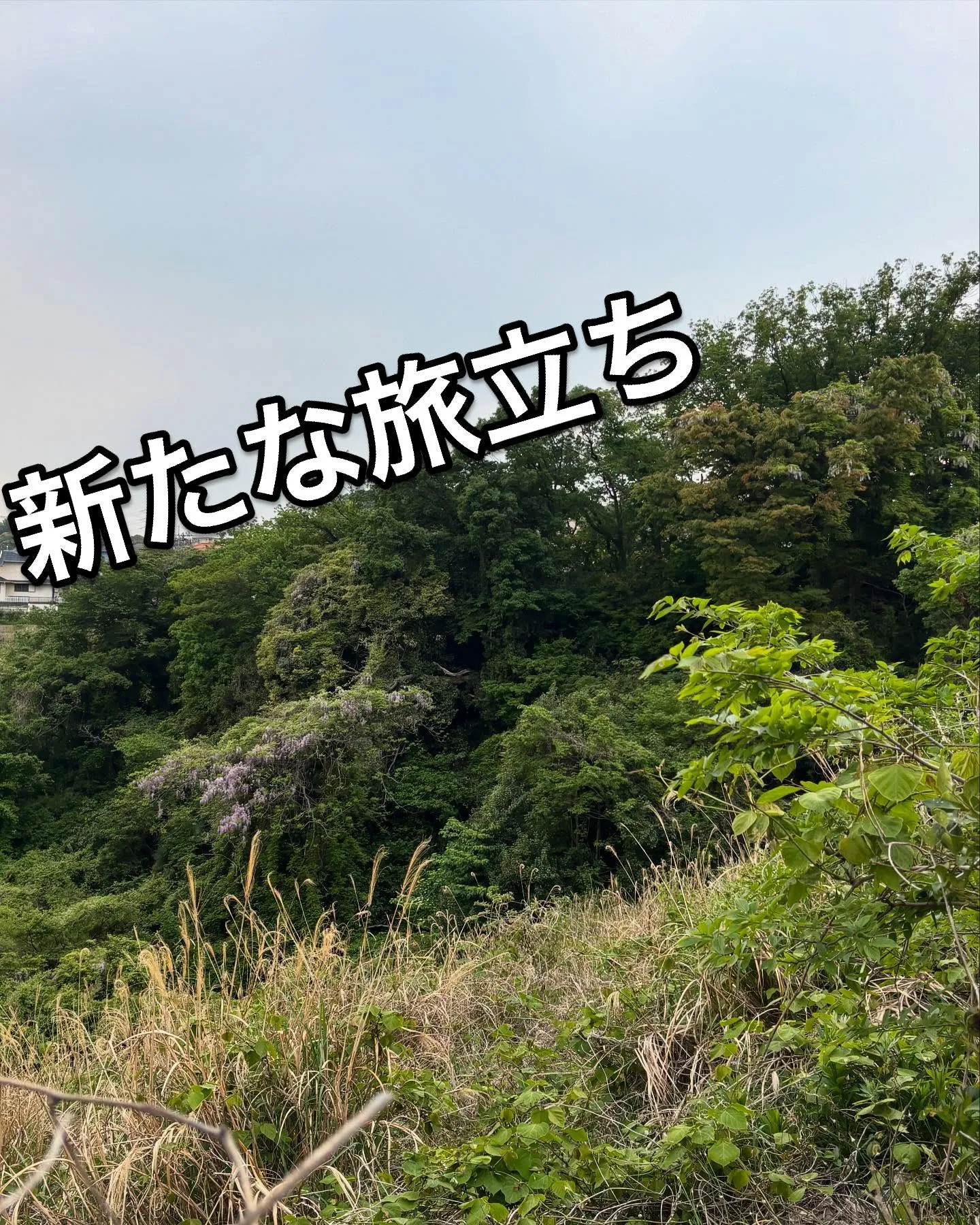 神奈川県横須賀市にてチワワちゃんペット葬儀、ペット火葬のお手...