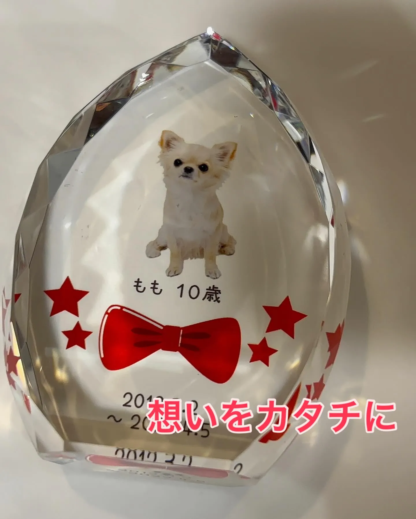 ペットメモリアル神奈川は、大切な家族の一員であるペットとの最...