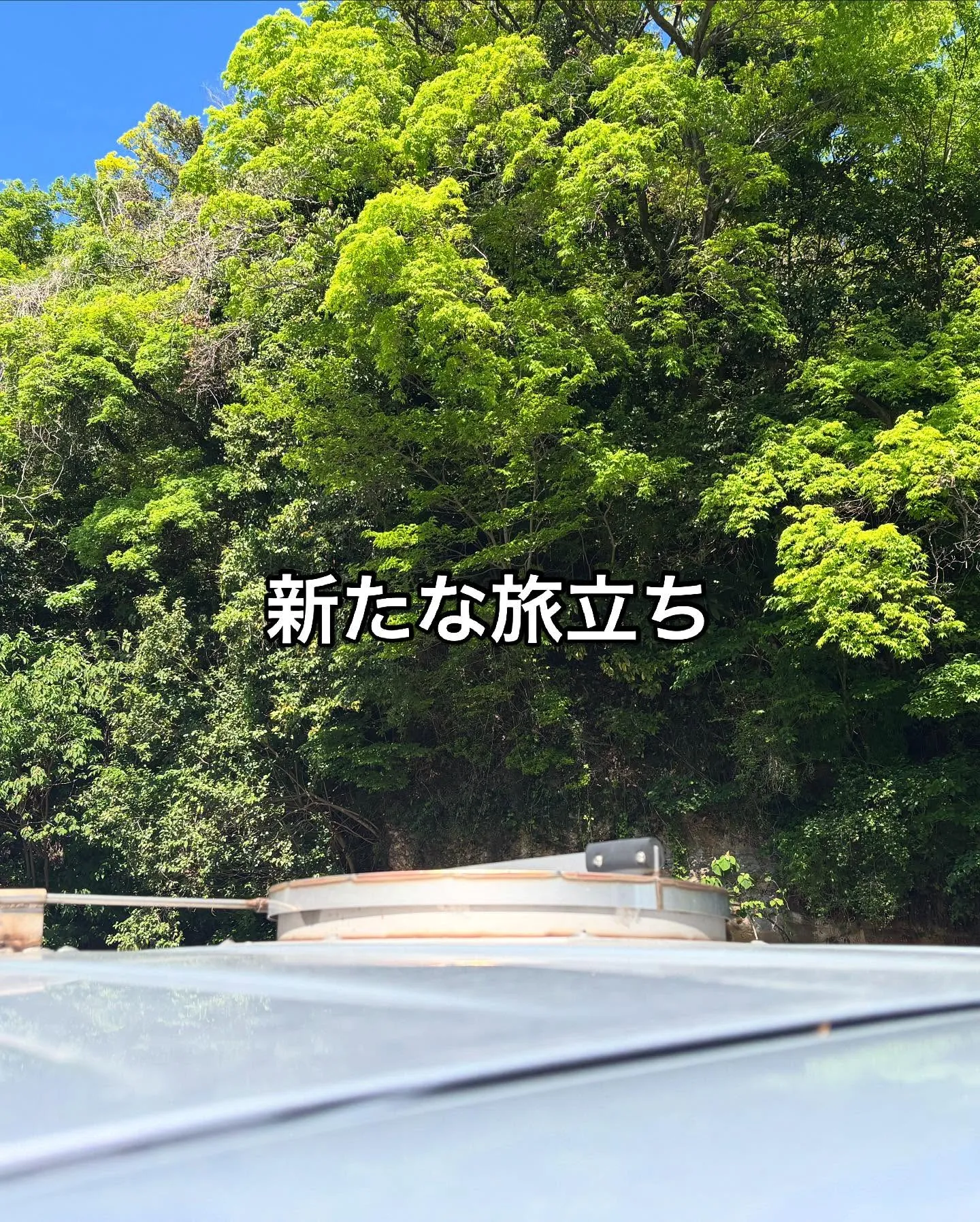ペットとのお別れの際、飼い主様の心に寄り添う「訪問ペット火葬...