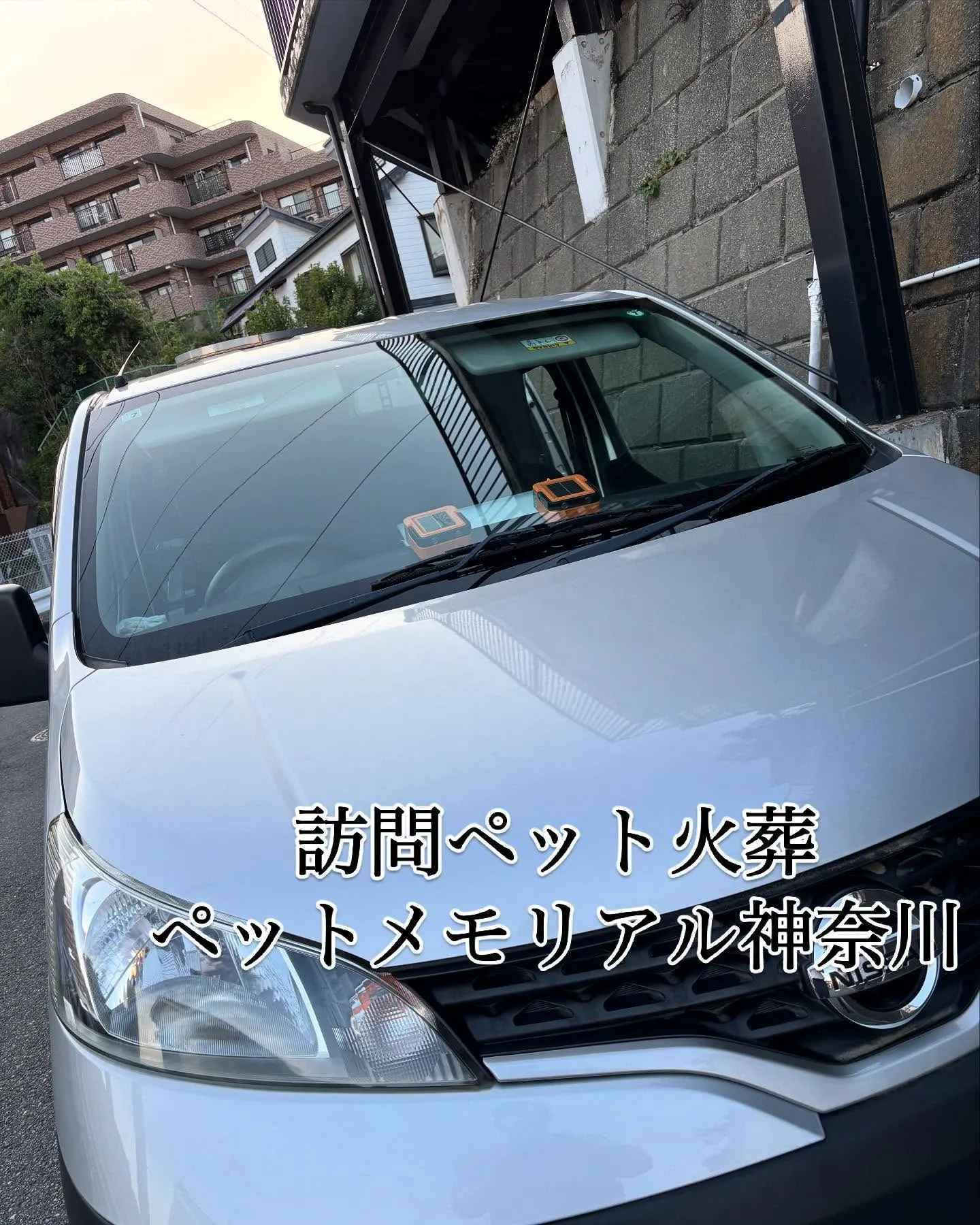 神奈川県横浜市にて、愛らしい猫ちゃんの旅立ちのお手伝いをさせ...