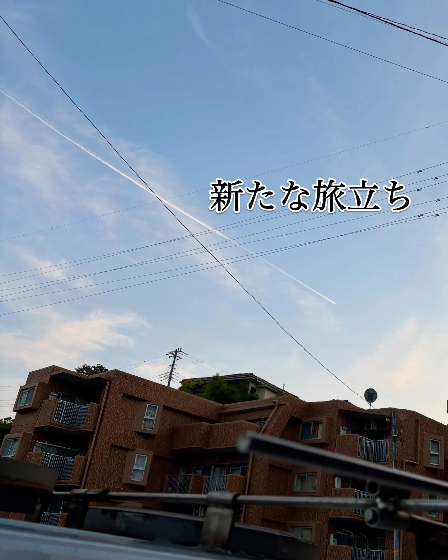 神奈川県横浜市にて、愛らしい猫ちゃんの旅立ちのお手伝いをさせ...
