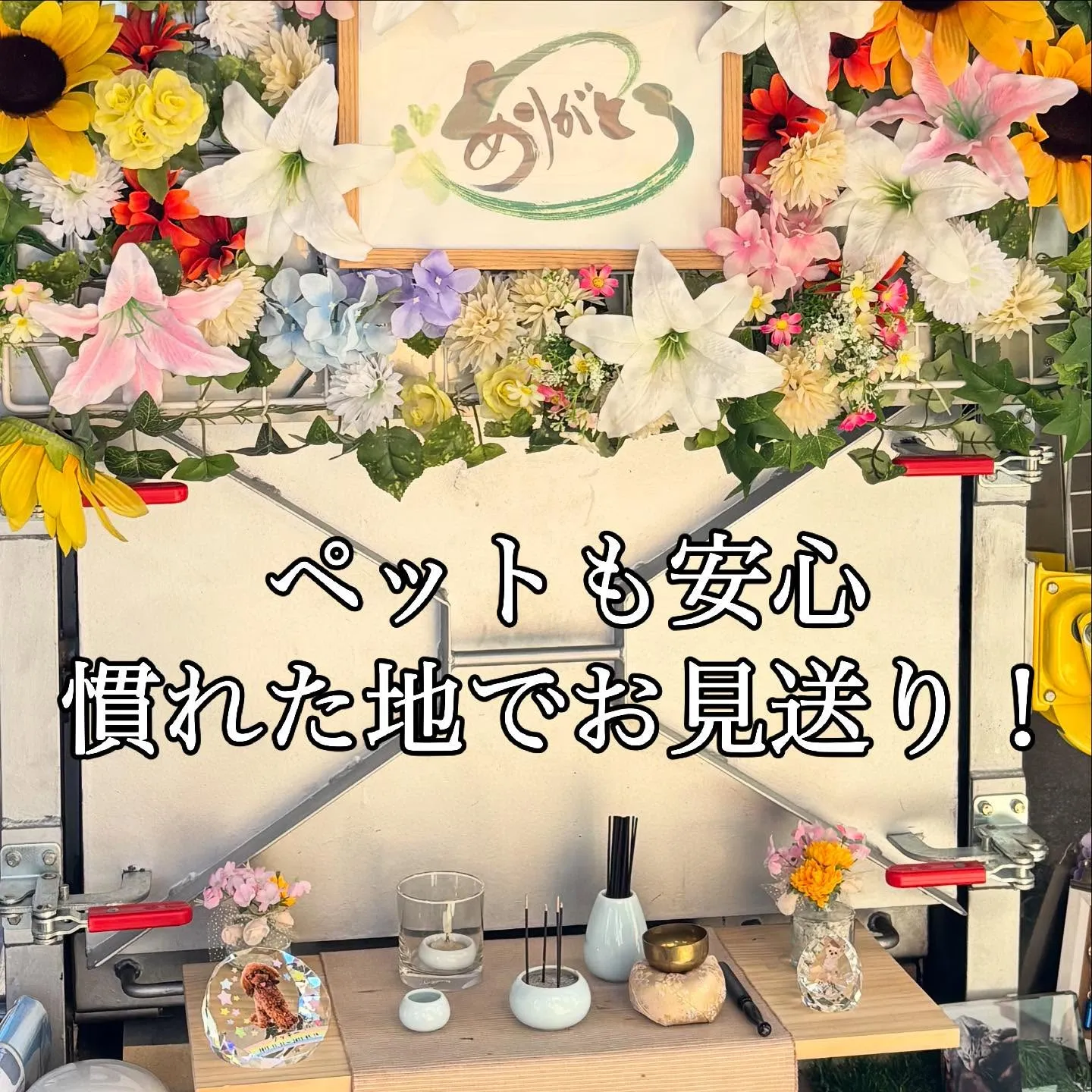 神奈川県葉山町で、大切なわんちゃんのペット火葬のお手伝いをさ...